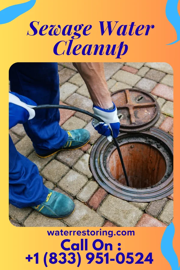 Sewage Water Cleanup in La Esperanza, TX